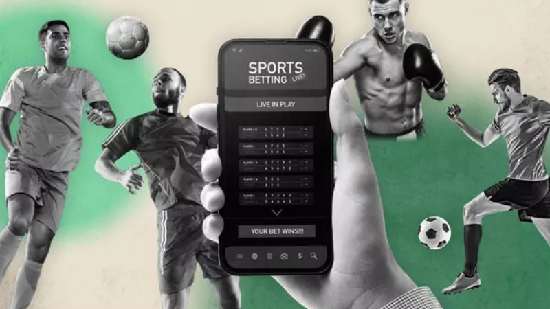 Các yếu tố cần phân tích khi soi kèo đội cược cửa dưới