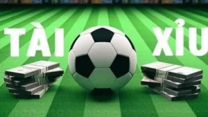 Kinh nghiệm tài xỉu Bongdaso - Kèo tài xỉu bóng đá dễ hiểu